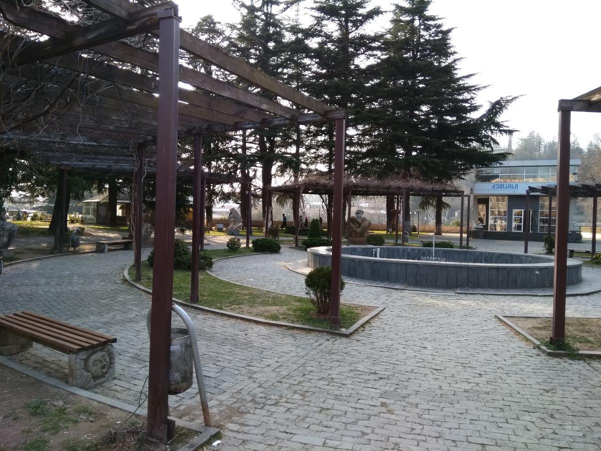 كوتايسي Hotel Mkudro المظهر الخارجي الصورة